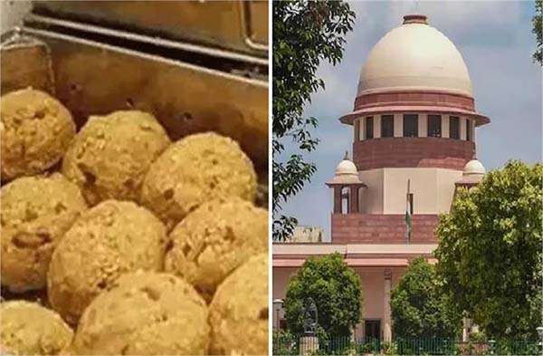 Tirupati laddoo : ‘नहीं चाहते मामला राजनीतिक नाटक में बदले, स्वतंत्र sit करेगी जांच’, तिरुपति लड्डू मामले पर बोला supreme court